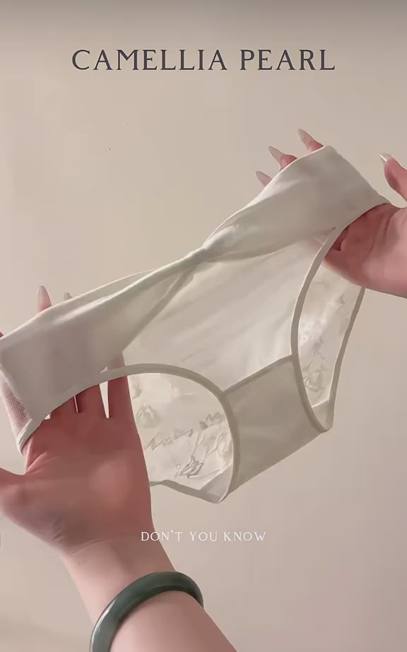 Pure White Mesh Panty